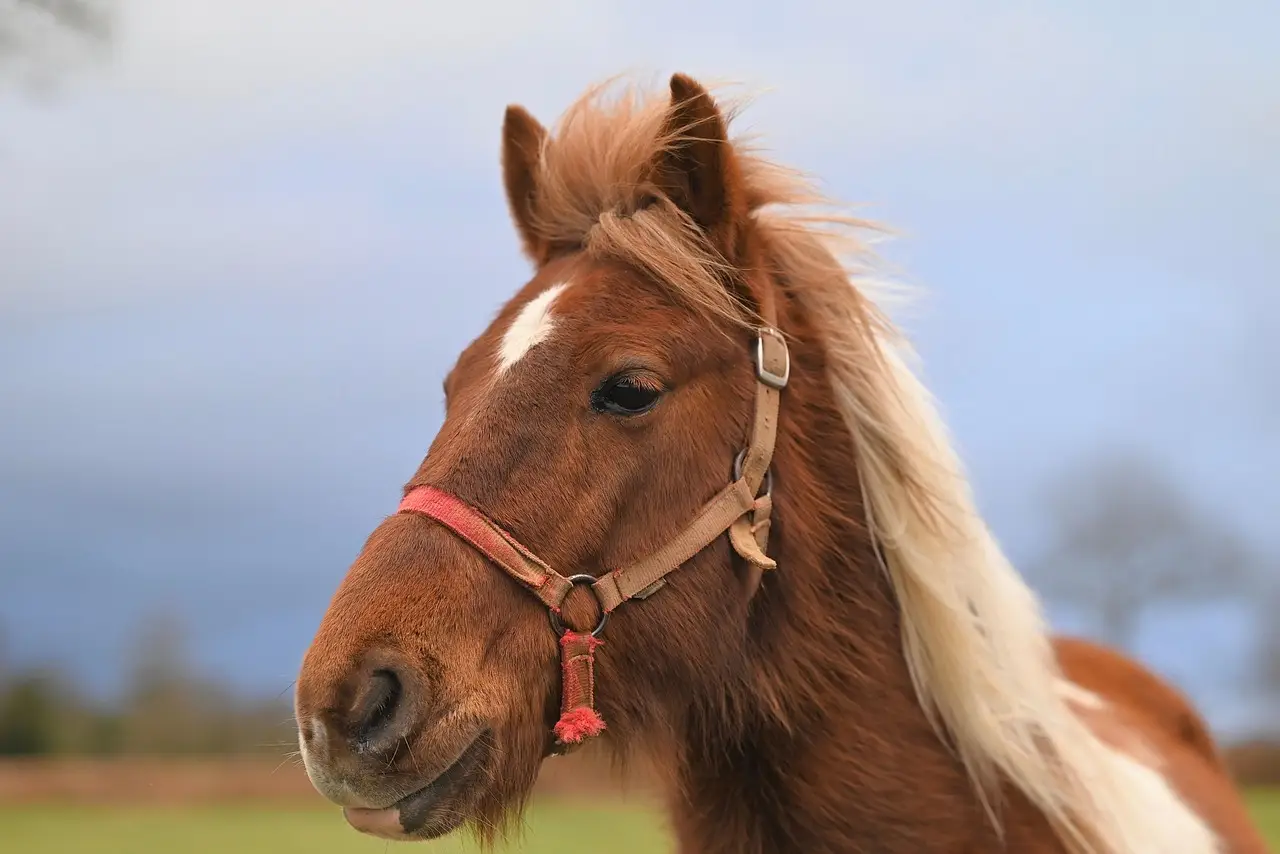 ai-generated-horse-equine-animal